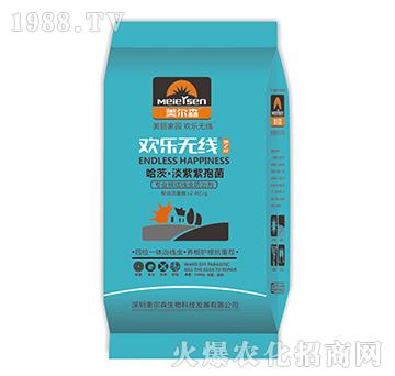 ���ġ��������߾�-�g��(l��)�o(w��)����֮�g-����ɭ