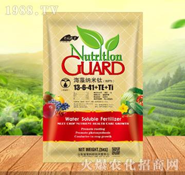 ����{����13-6-41+TE+Ti������-���ԁ��(l��)