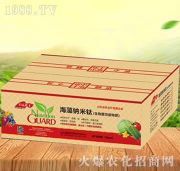 ����{����-���ԁ��