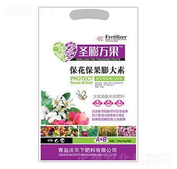 �������������-ʥ���f��-������