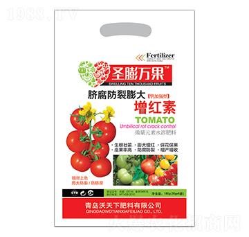 Ě������������t��-ʥ���f(w��n)��-������