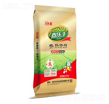 ��(f��)�Ϸ���15-15-15-����(l��)�S-�����