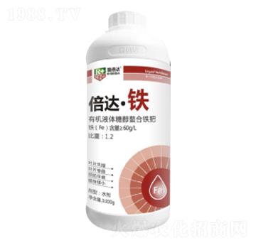 1000g���_���F-���_