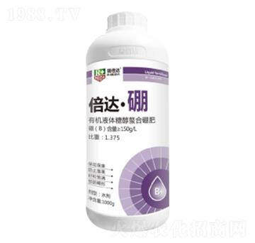 1000g���_����-���_