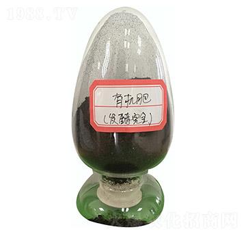 �ЙC��-��ꖿƼ�