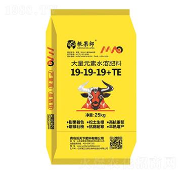 ����Ԫ��ˮ�ܷ���19-19-19+TE-������-������
