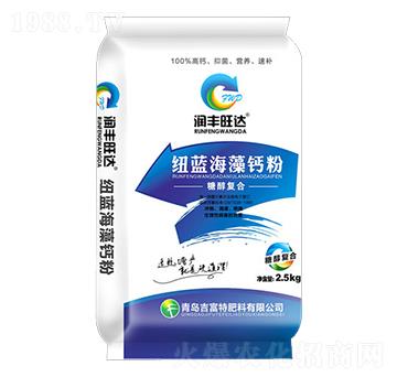 �~�{(l��n)���{(l��n)�}��-���S���_(d��)-������