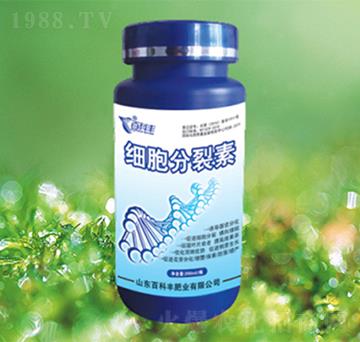 ��(x��)��������-�ٿ��S