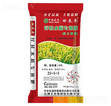 ����S�ͺϷ���25-5