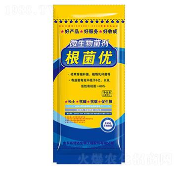 ΢�������-������(y��u)-���Z�_(d��)