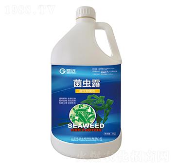 ���x¶-�n�h����