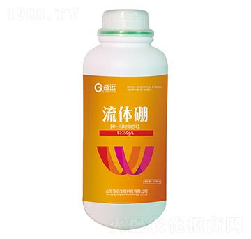 ���w��-�n�h����