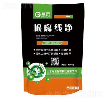 ������(xi��n)��-�n�h(yu��n)����