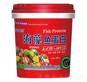 �����~(y��)���ס�΢�������-�n�h(yu��n)����