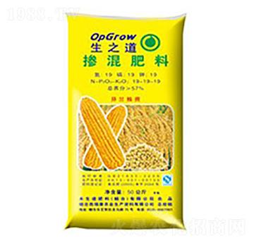 �������19-19-19-��֮��