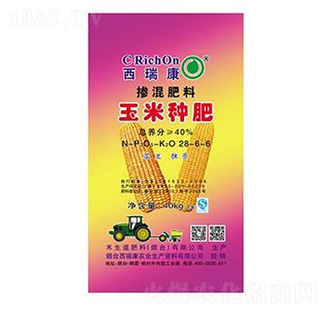 ���׷N�ʾ�ጓ������28-6-6-��֮��