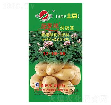 ���������⛏�(f��)�Ϸ���12-19-16-�G����-�Ж|����