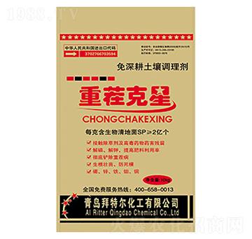 �ز����-���ؠ�