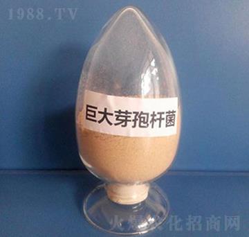 �޴�ѿ�ߗU�����ۄ���-��������