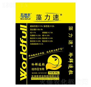 ������-�����S