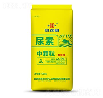 ���w������-���B��