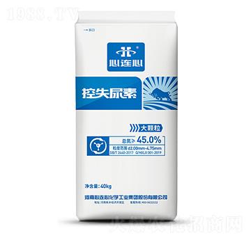 ��ʧ����-���B��