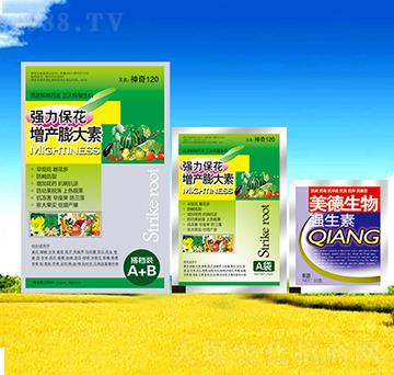 �������a(ch��n)�����-��������