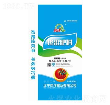 �������19-19-19-�c��ʘI(y��)