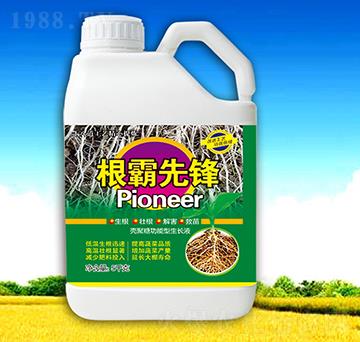 �������h-��������