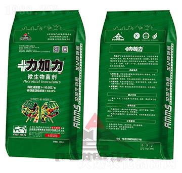 ΢�������-������-��ķ˹