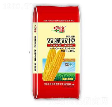 �pĤ�p�ؓ������22-