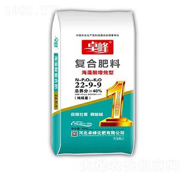 ��������Ч�͏ͺϷ���2