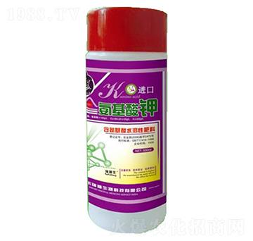 �������-��������