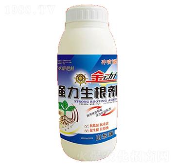 ����������������-��������