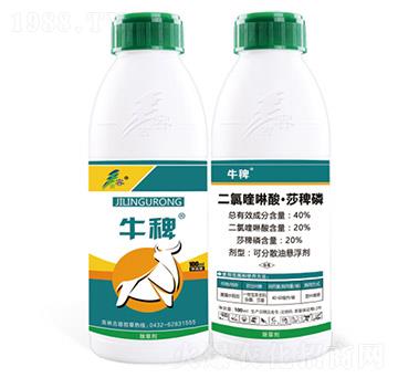 40%��������ᡤɯ����-ţ��-����