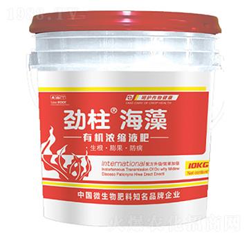 �ЙC��sҺ��-����������-형r�