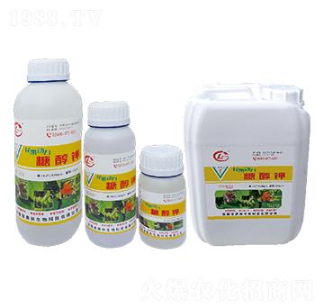 �Ǵ��-��������-�W������