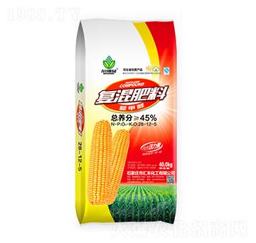 ���ȩ��(f��)�����28-12-5-�R�S����