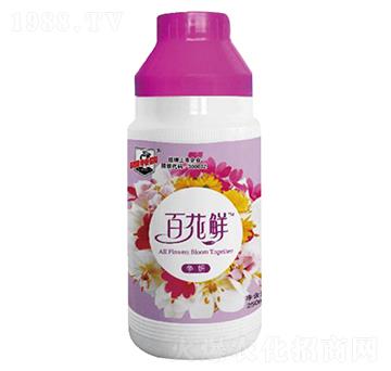 �ٻ��r��(zh��ng)��-������