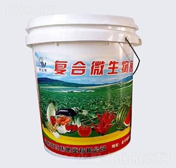 �ͺ�΢�������-������