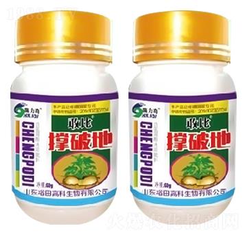 ���Ƶ�-�ұ�-ԣ��߿�