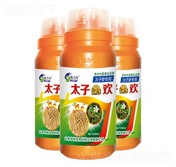 ̫�Ӛg��̫�Ӆ���(zhu��n)�ã�-ʩ����-ԣ��߿�