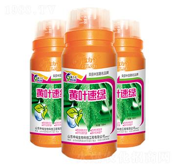 �S�~�پG-ʩ����-ԣ��߿�