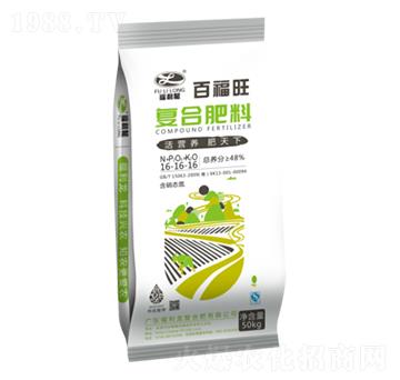 ��(f��)�����16-16-16-�ٸ���-������