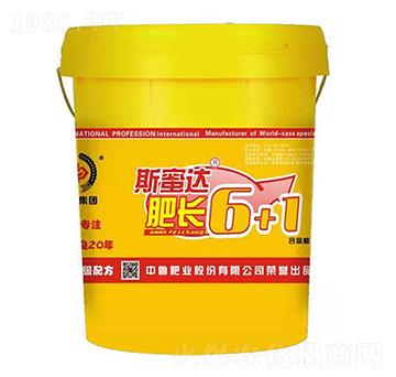 ���L(zh��ng)6+1-�з�