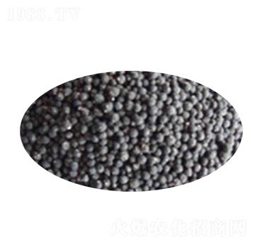 �����������-����