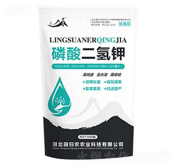 ��������-�S����-��w�r