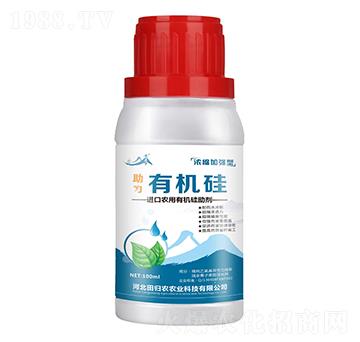 ��s�ӏ�(qi��ng)���ЙC(j��)��-����-��w�r(n��ng)