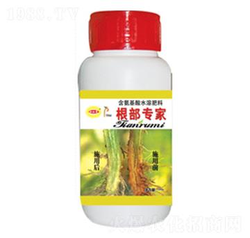 ������(zhu��n)��-������