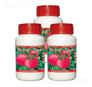 ���ь�(zhu��n)��һ�c(di��n)�t-������